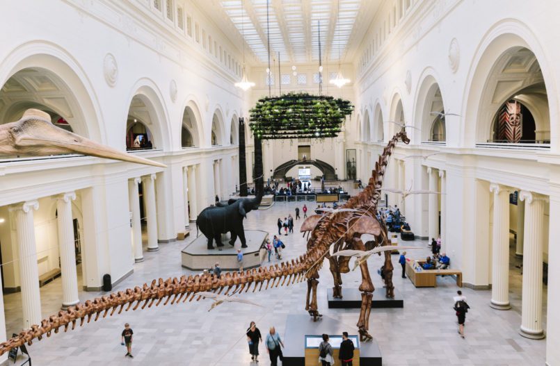 ACM and Field Museum Announce New Partnership