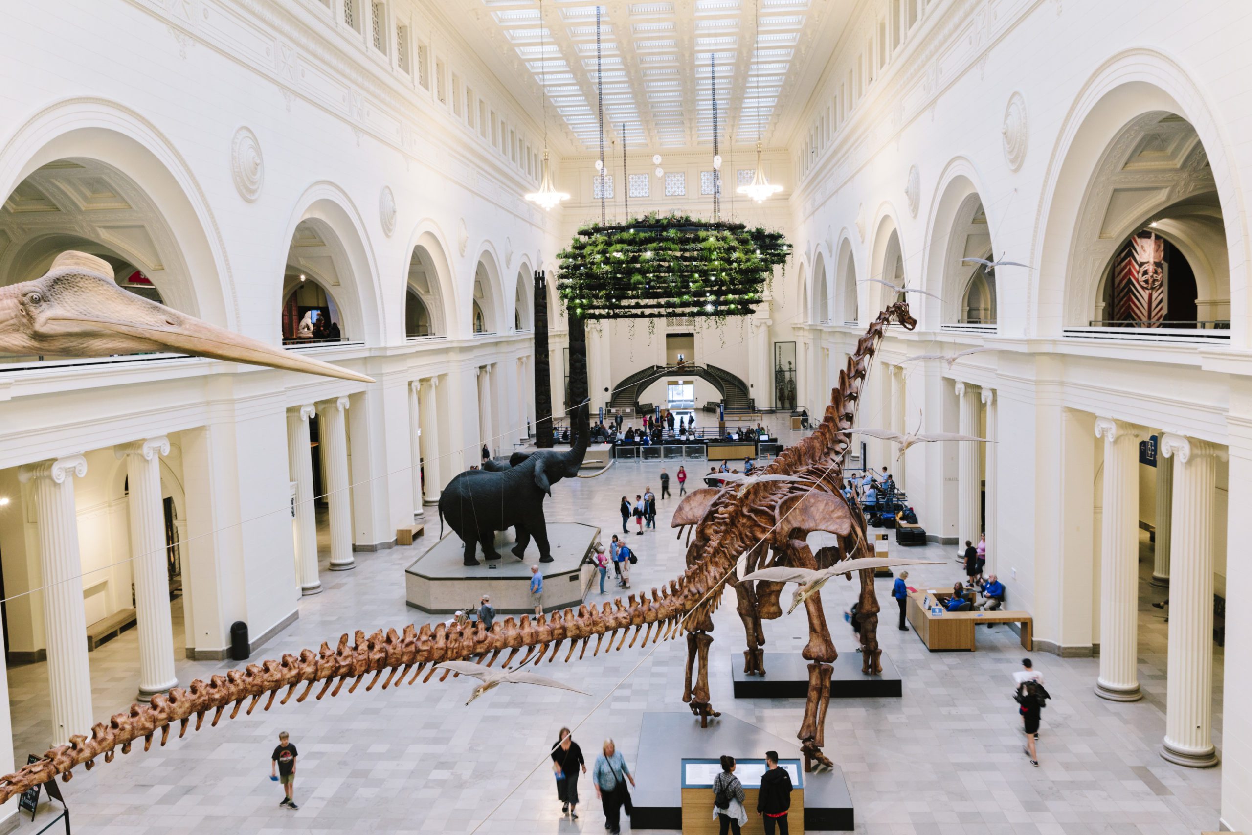 ACM and Field Museum Announce New Partnership
