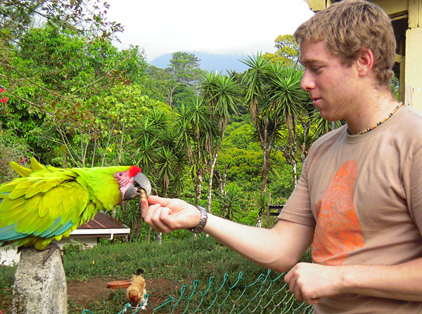 Feeding a macaw