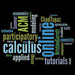 Calculus: A Modeling Approach