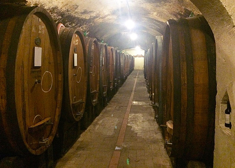 Tenuta Di Capezzana cellars